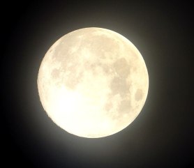 Full moon
